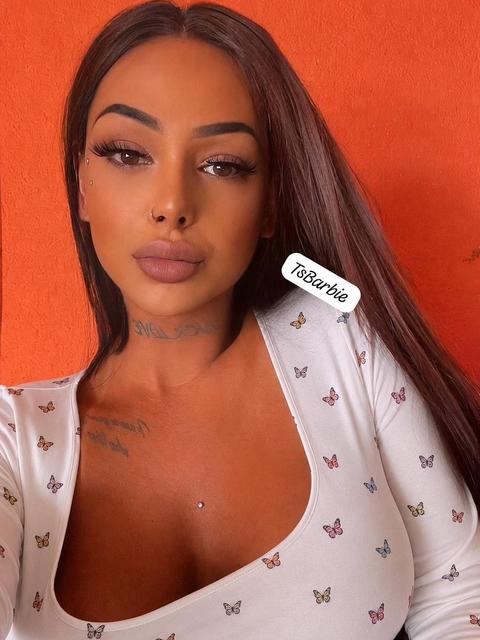 TSBLACKBARBIEPORN